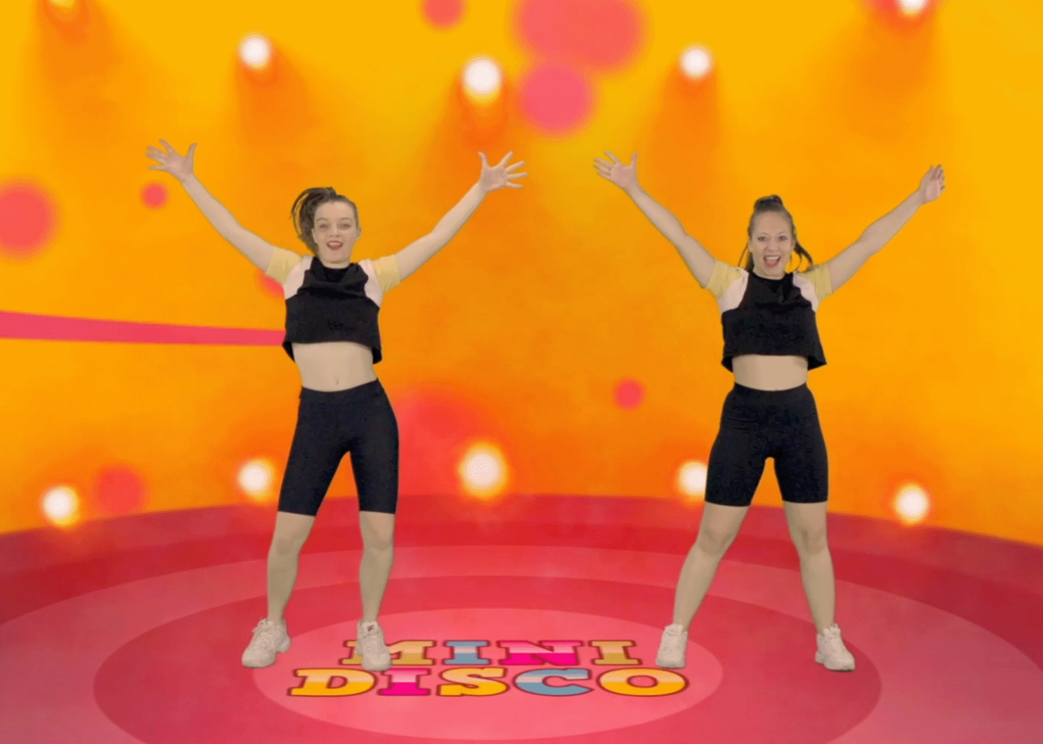 Pingouin Judoka - Minidisco